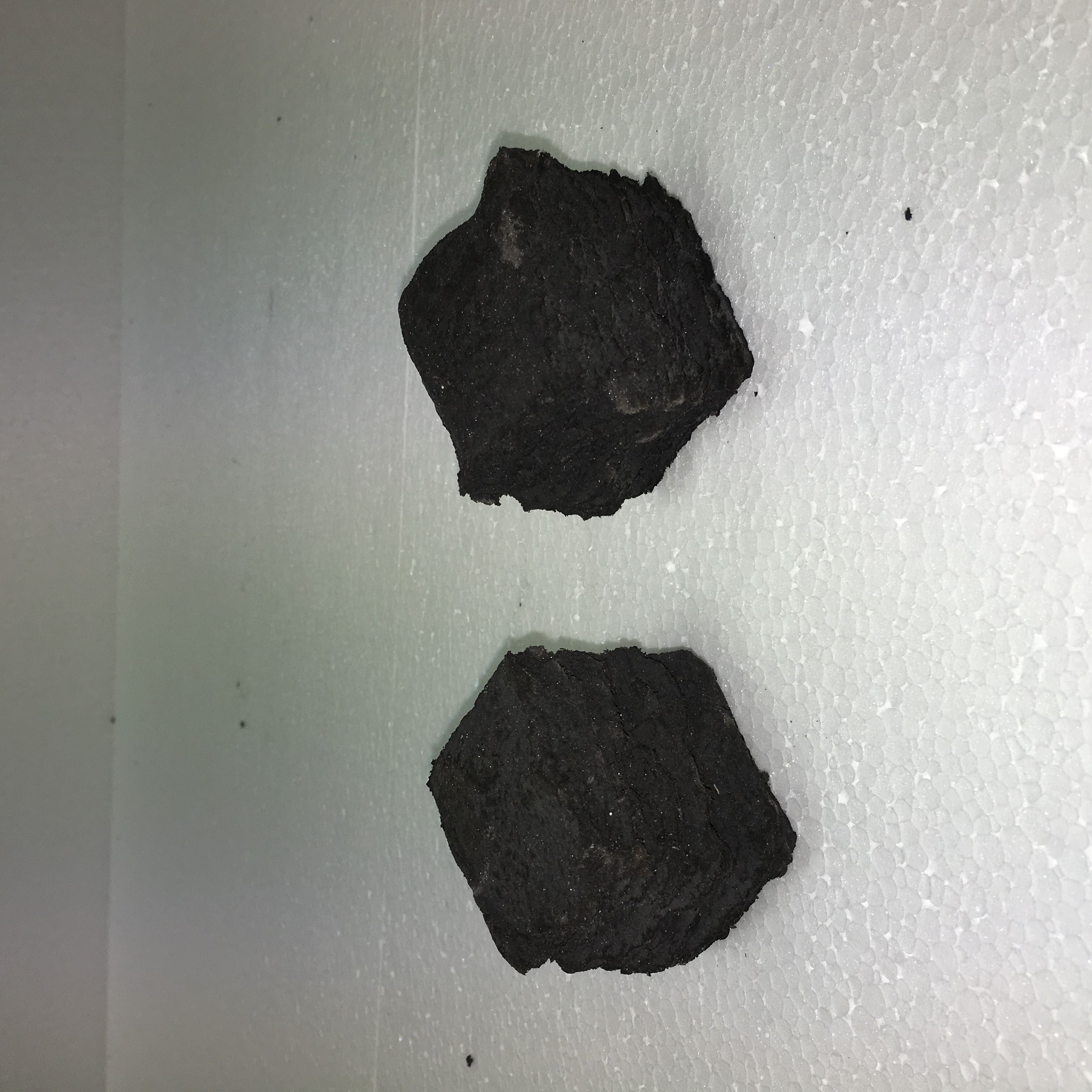NV COALS